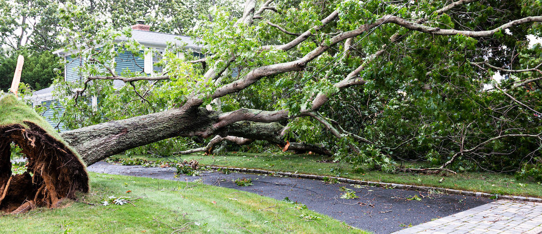 Spring Storm Damage Restoration: What to Do After the Storm