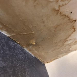 Preventing Water Damage