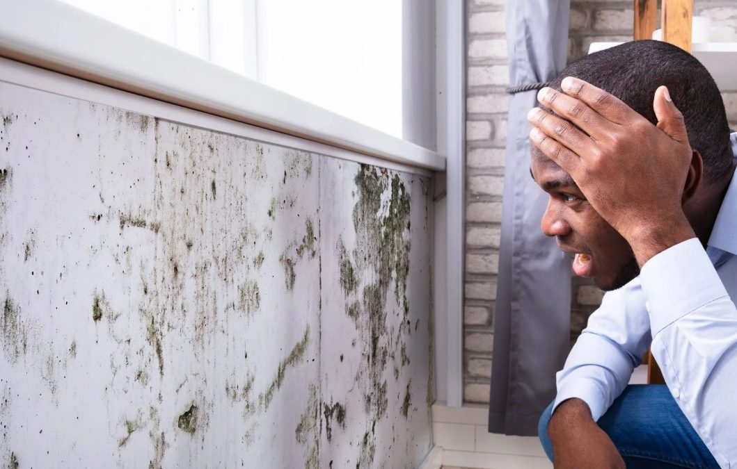 The Truth About Mold: What Victorville Homeowners Need to Know (And Why Quick Action Matters)