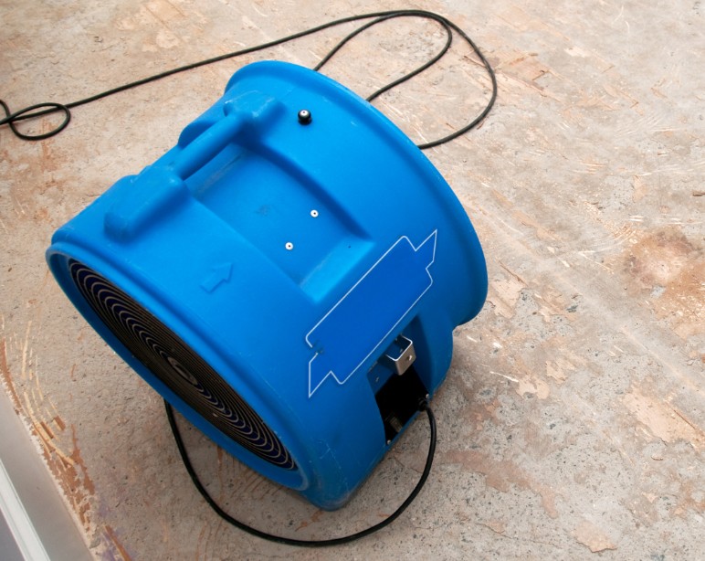 How Long Did the Restoration Take and What Did It Cost