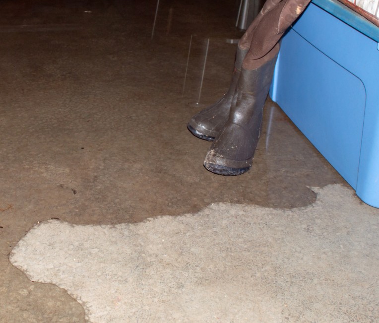 How To Find The Best Water Mitigation Company Near Me in Victorville, CA