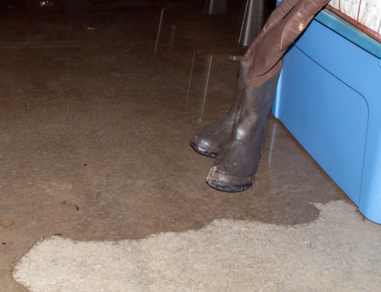 How To Find The Best Water Mitigation Company Near Me in Victorville, CA