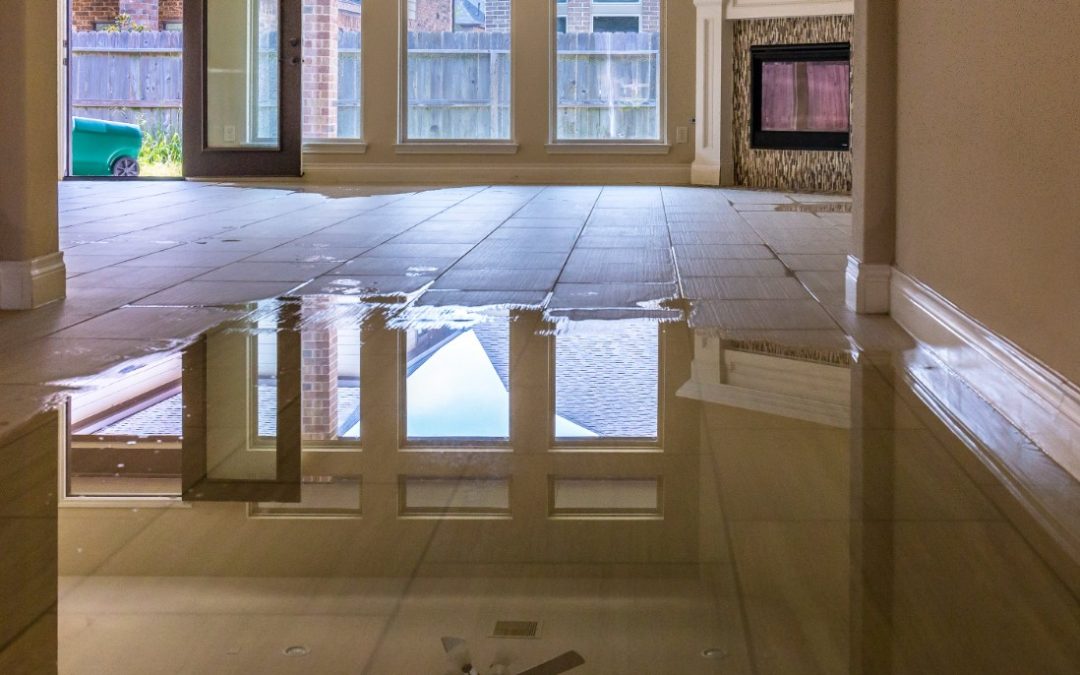 5 Signs Water Damage Is Worse Than It Looks