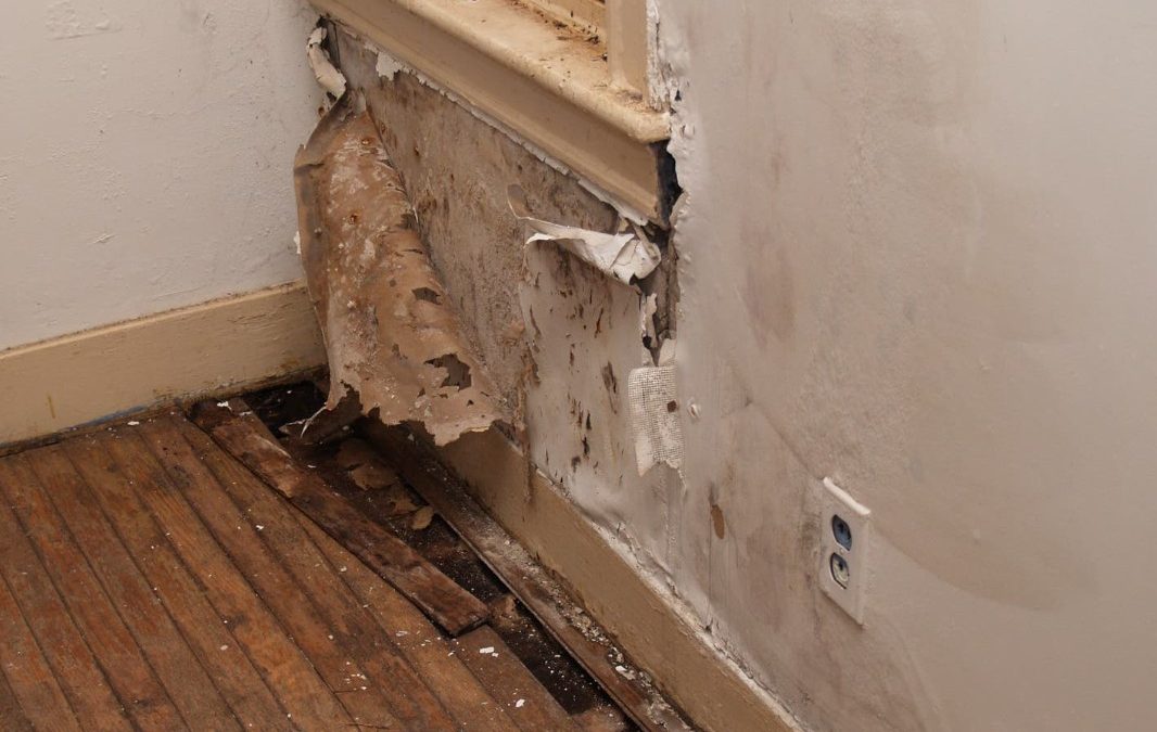 Professional Water Restoration in Victorville, CA