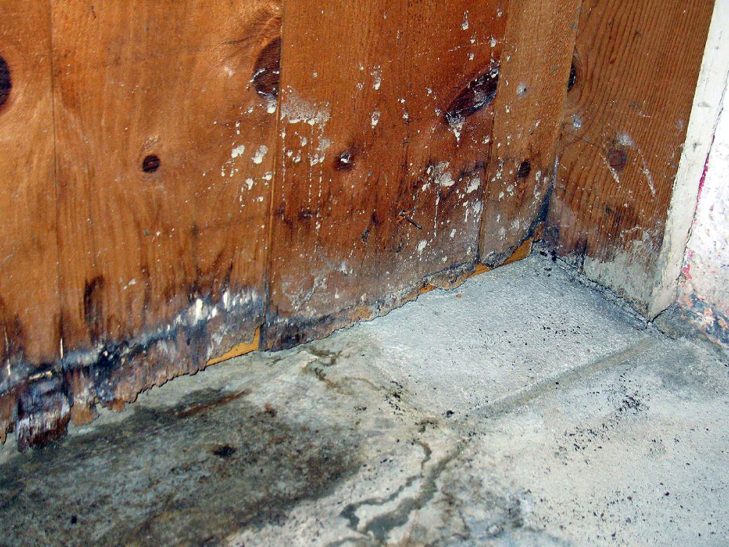 What Happens If Water Damage Is Ignored
