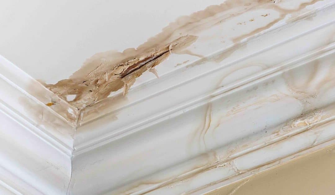 Water Damage