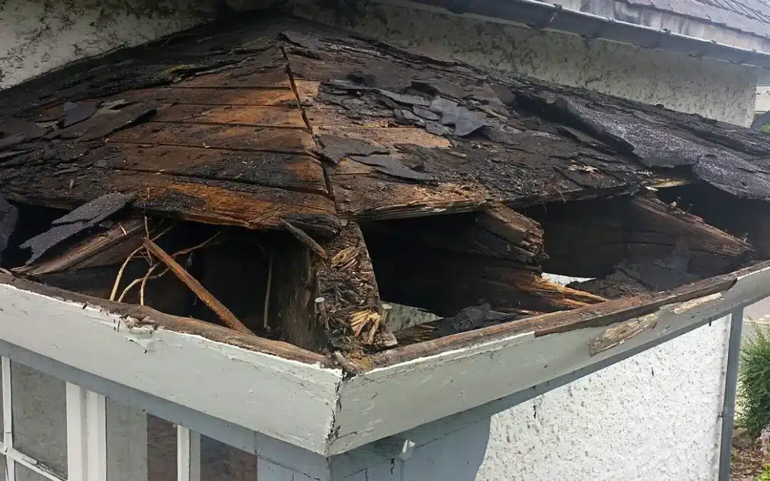 Can Water Damage Lower Your Property Value