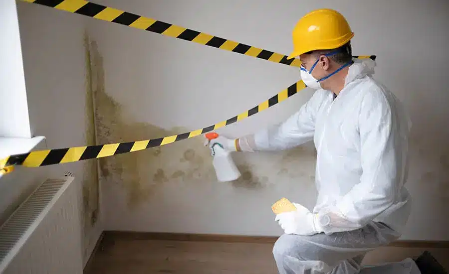 Mold Prevention and Protection