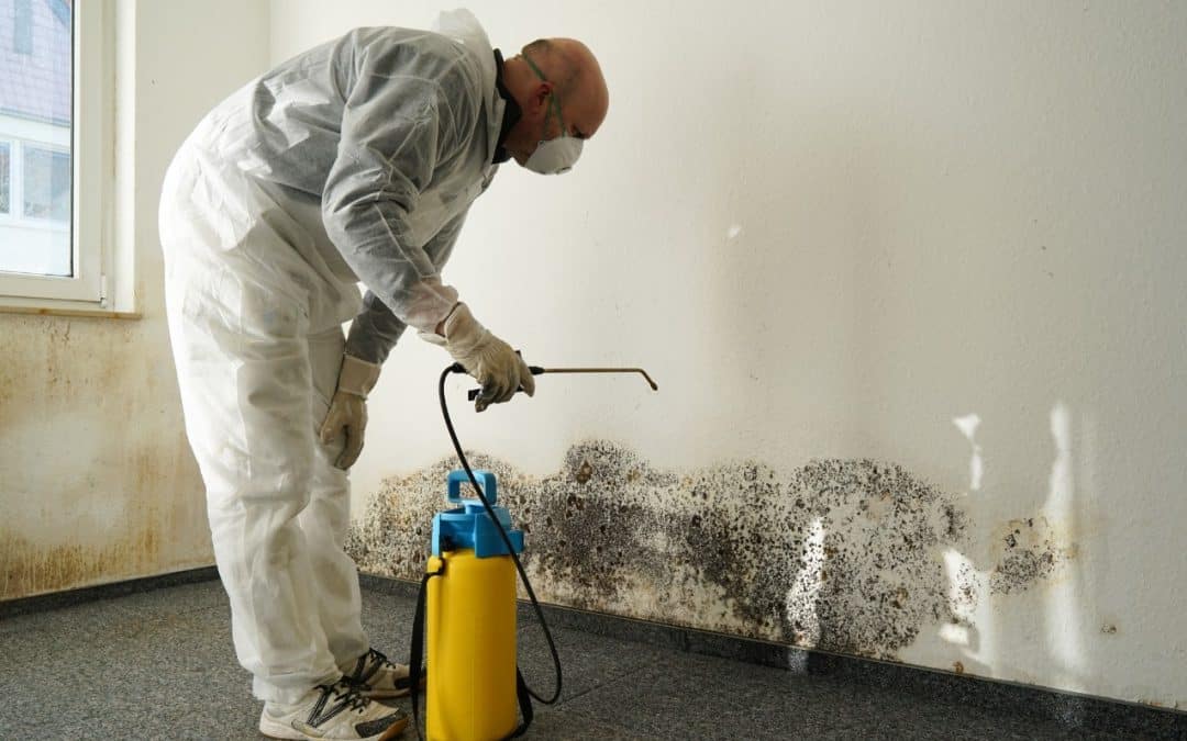 Professional Water Damage Clean Up