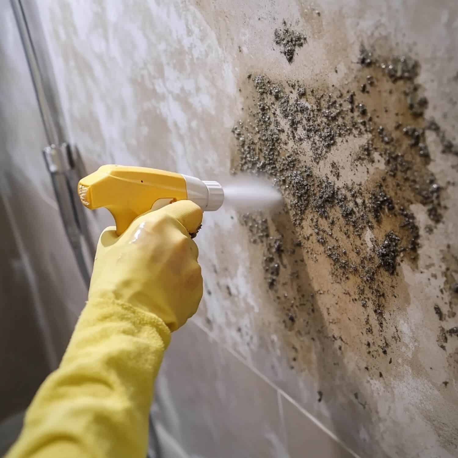 Can a Home Be Safe During Fire Restoration