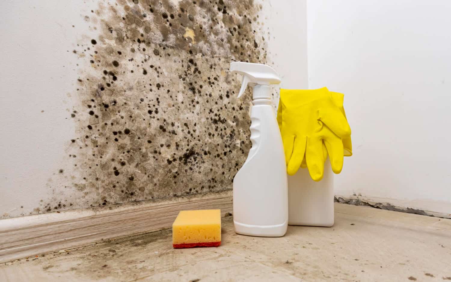 Emergency Water Restoration