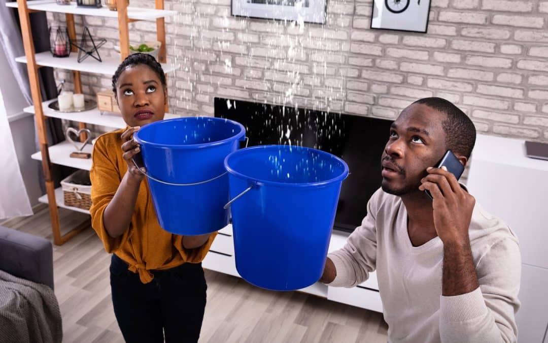 What Really Happens When You Hire a Water Restoration Company?