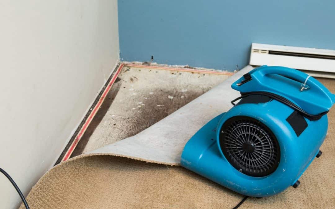 Your Home Has Water Damage – What Should You Do First?