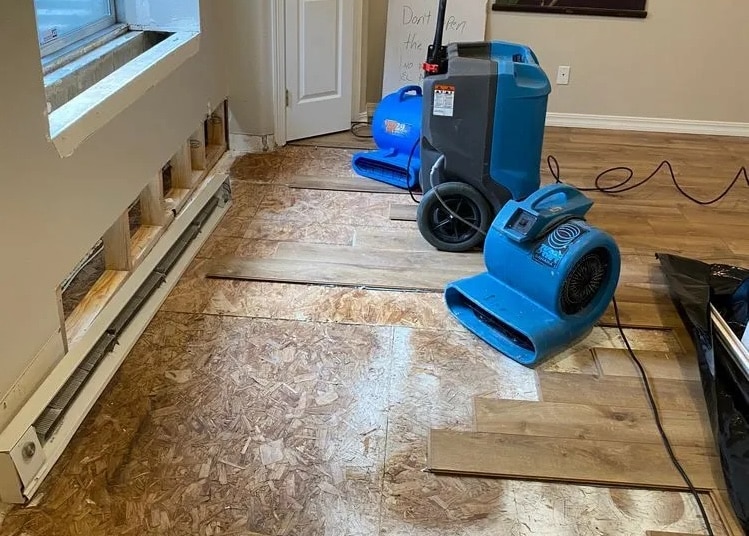 What Happens When Water Damage Is Left Untreated in a Victorville Home?